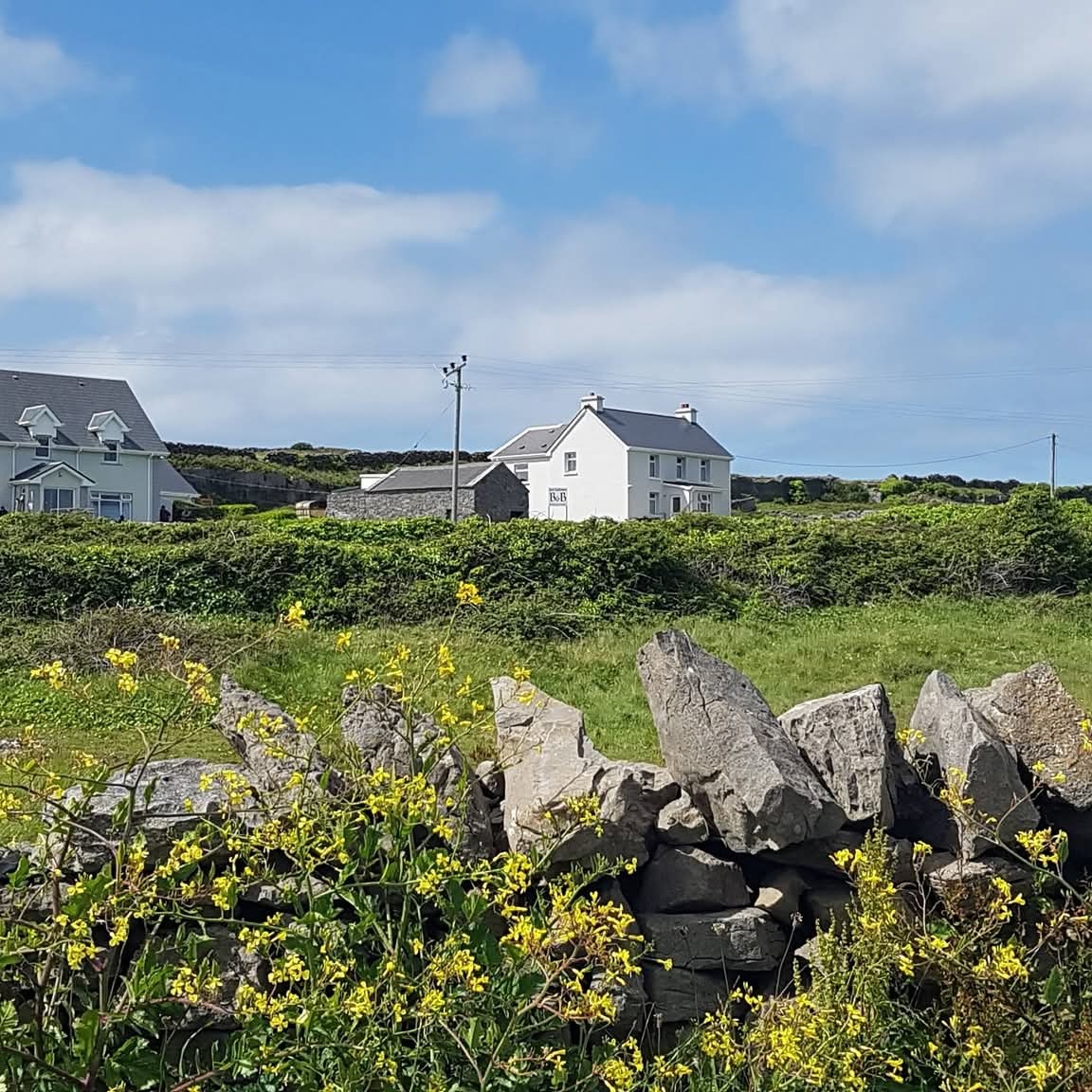 @antonellamalu4 tweet media