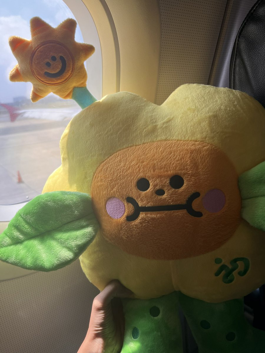 tehwin 🕊️ tweet media