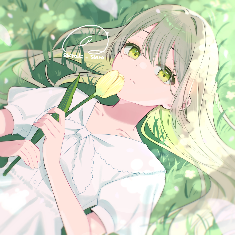 白木しろ🕊6/7(日)コミティア156【E25a】 tweet media