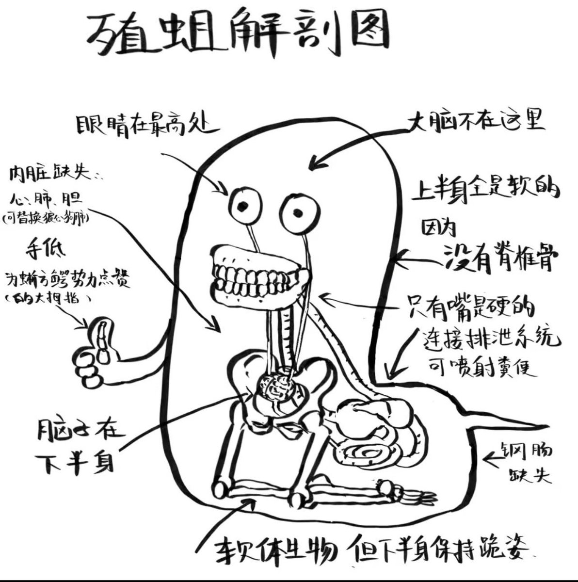 绿蛙🐸亲爹的亲爹 tweet media