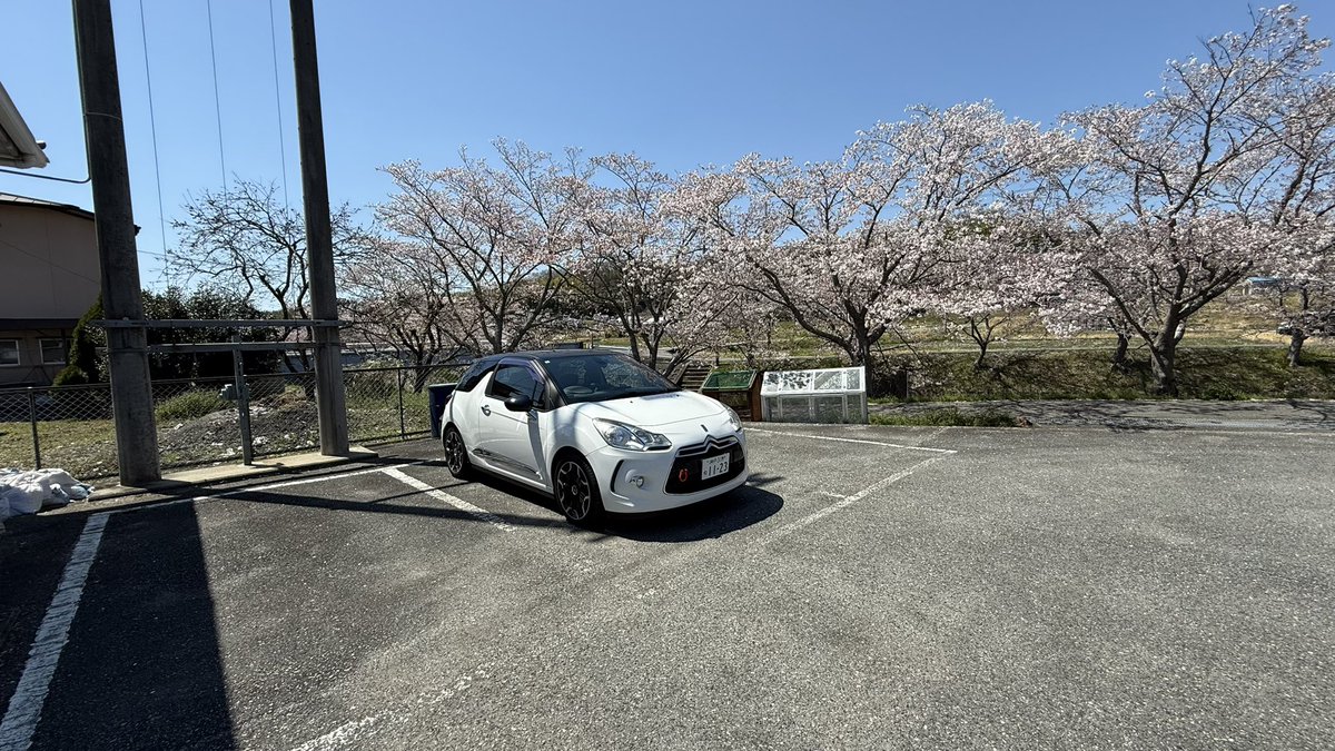 もりりん tweet media