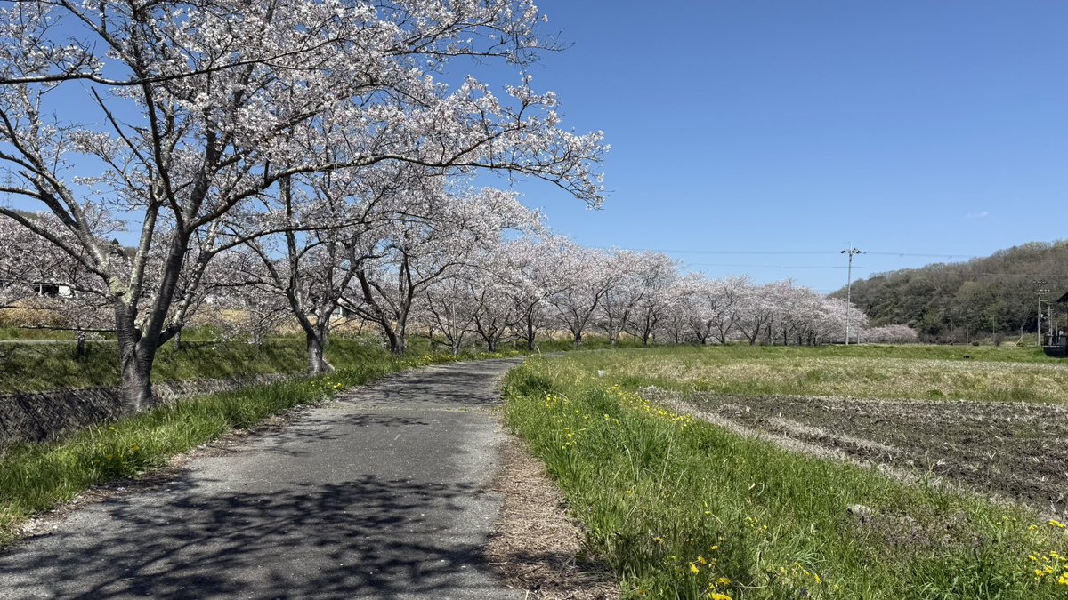 もりりん tweet media