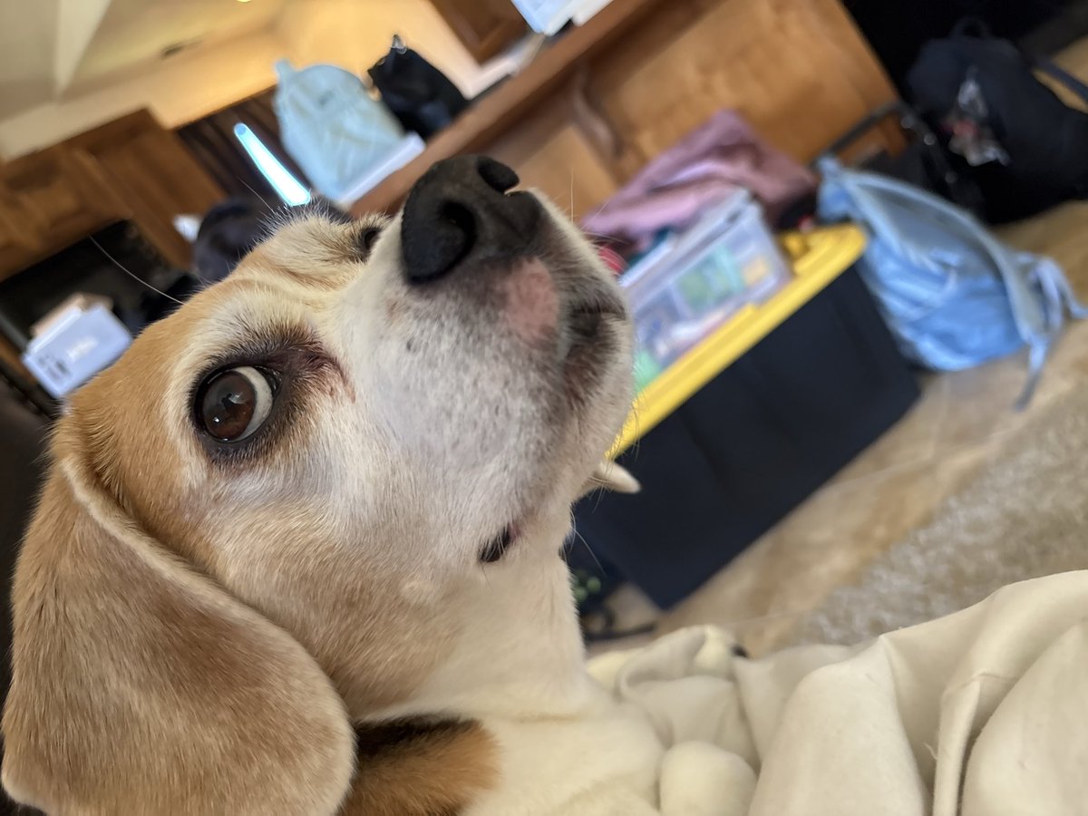 TriBailey tweet media