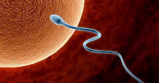 ์ฑ๋ชจ๋โก ๐ชฝ tweet media