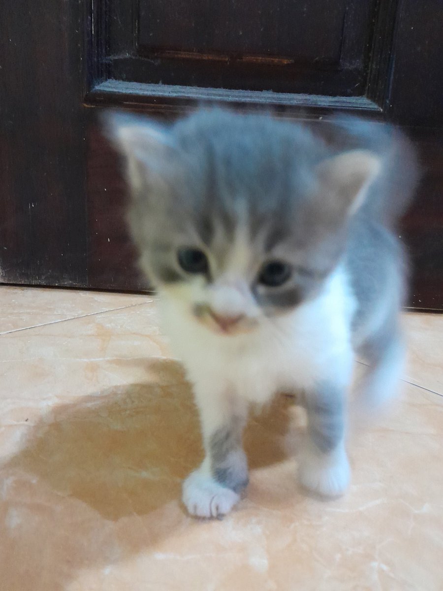 🦋 aliyaa tweet media