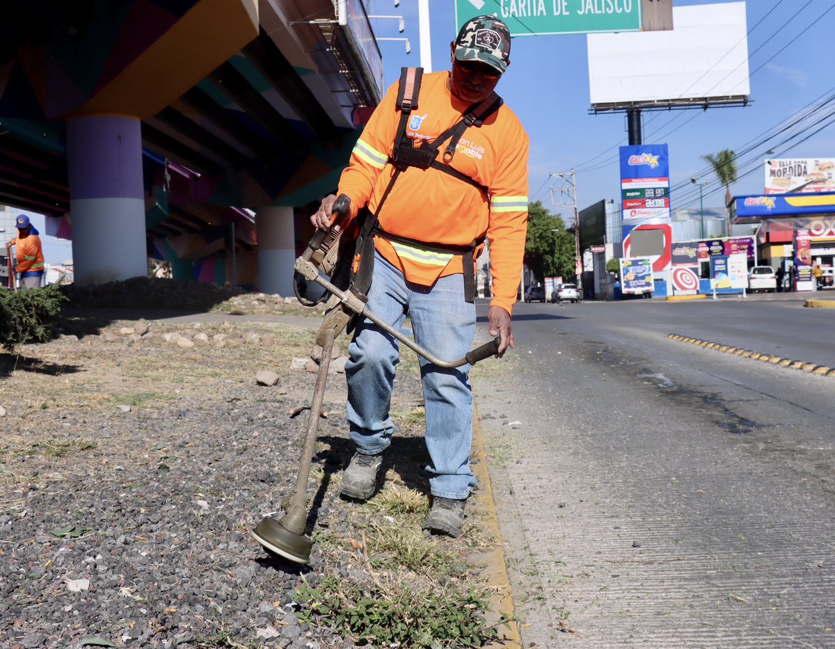 Servicios Municipales SLP tweet media