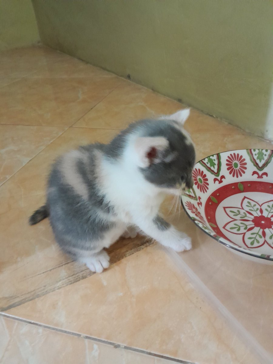 🦋 aliyaa tweet media