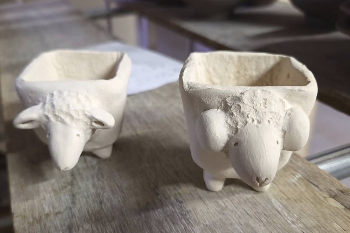 ミヤちゃん tweet media