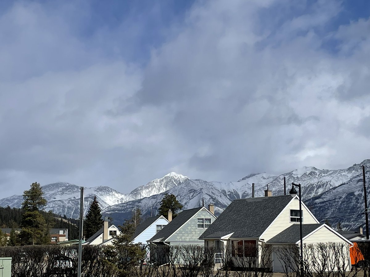 Eagle with a Goatee🍺🥩 tweet media
