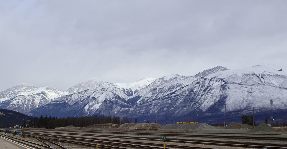 Eagle with a Goatee🍺🥩 tweet media