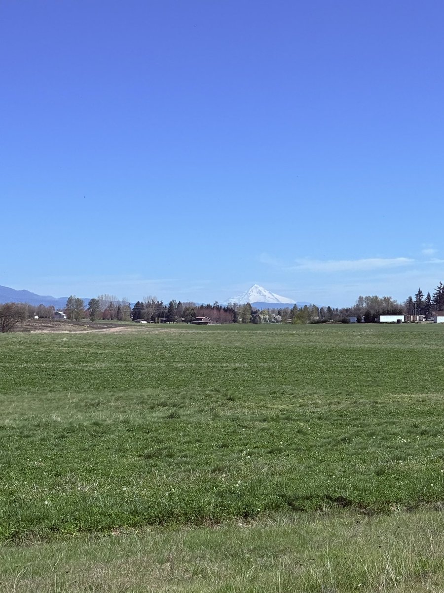 Rodger Young tweet media