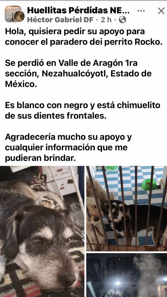 Dra Alejandra tweet media