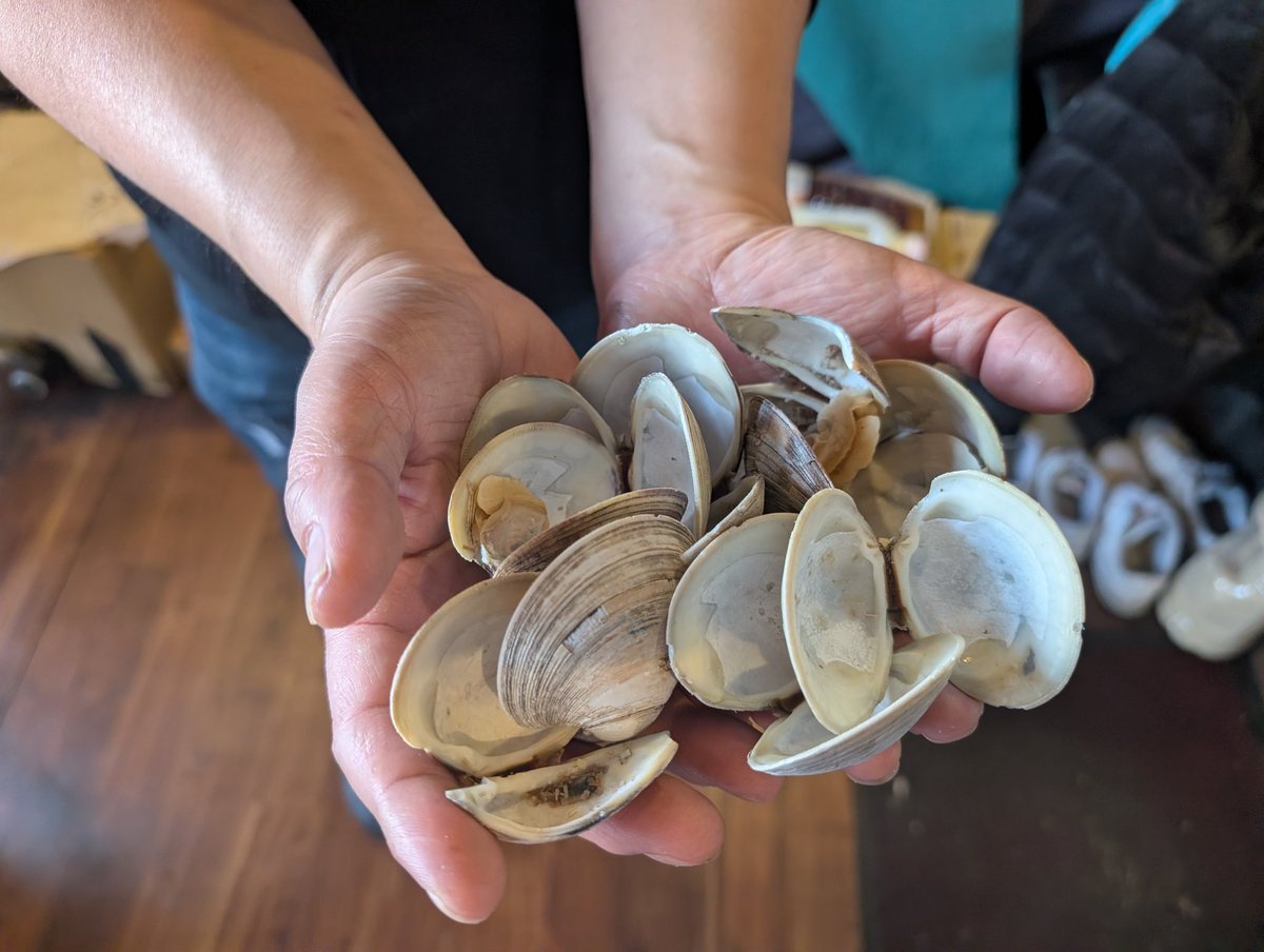 へうげもの tweet media