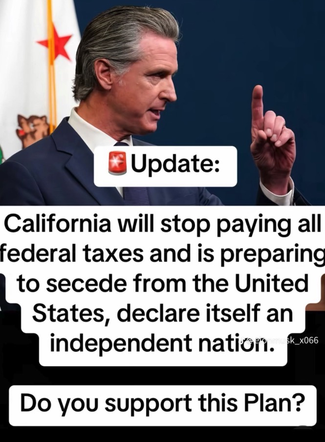 Anti Left Memes tweet media