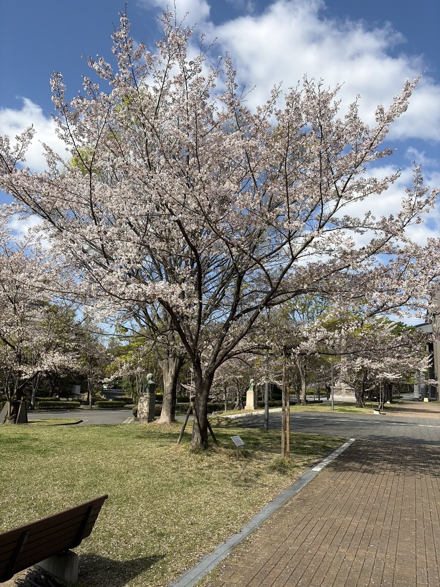 LifeSci_冬眠中💤 tweet media