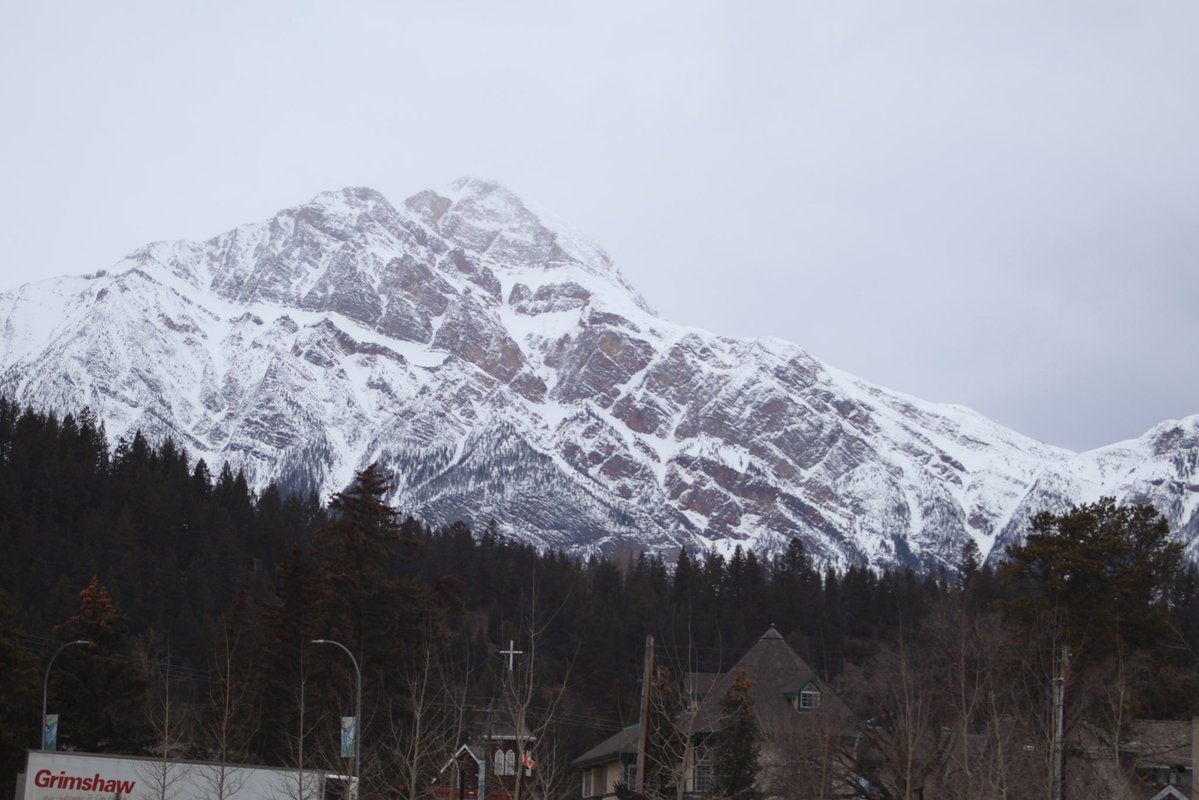 Eagle with a Goatee🍺🥩 tweet media