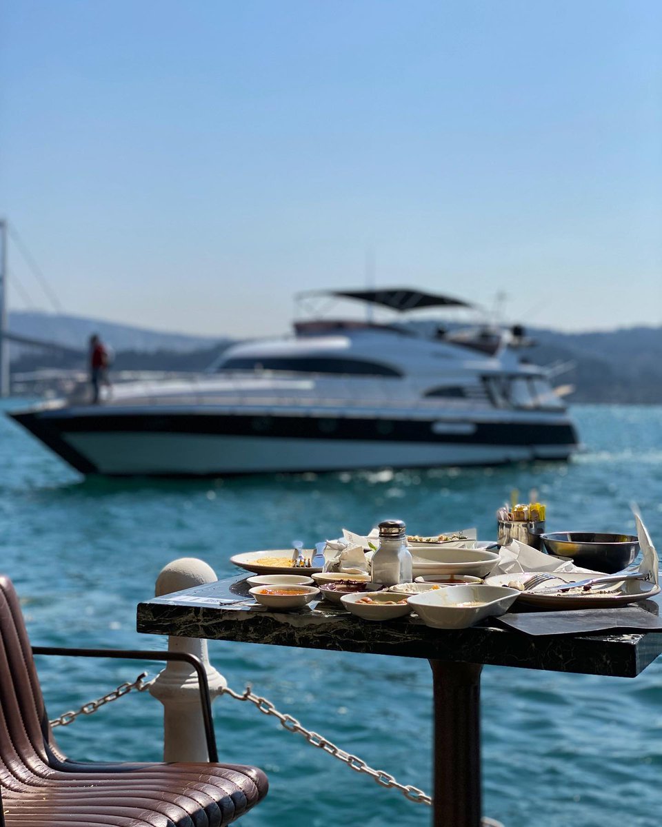VioletPerceval's tweet photo. It's time to go to sea!🏄‍♀️ https://t.co/8wijNbBycm
