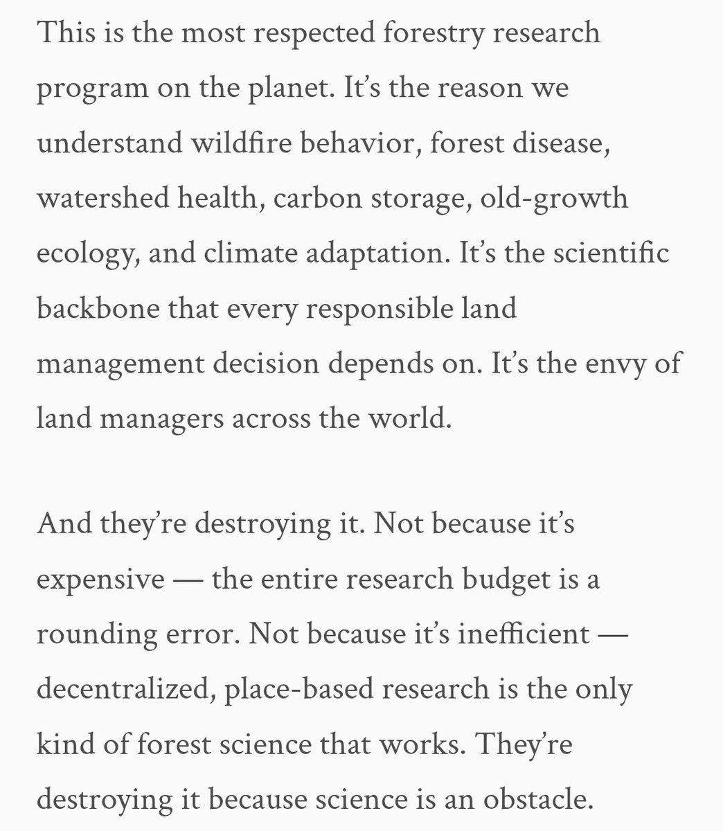 charred skeever hide tweet media