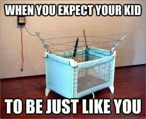 ShooterJobs tweet media