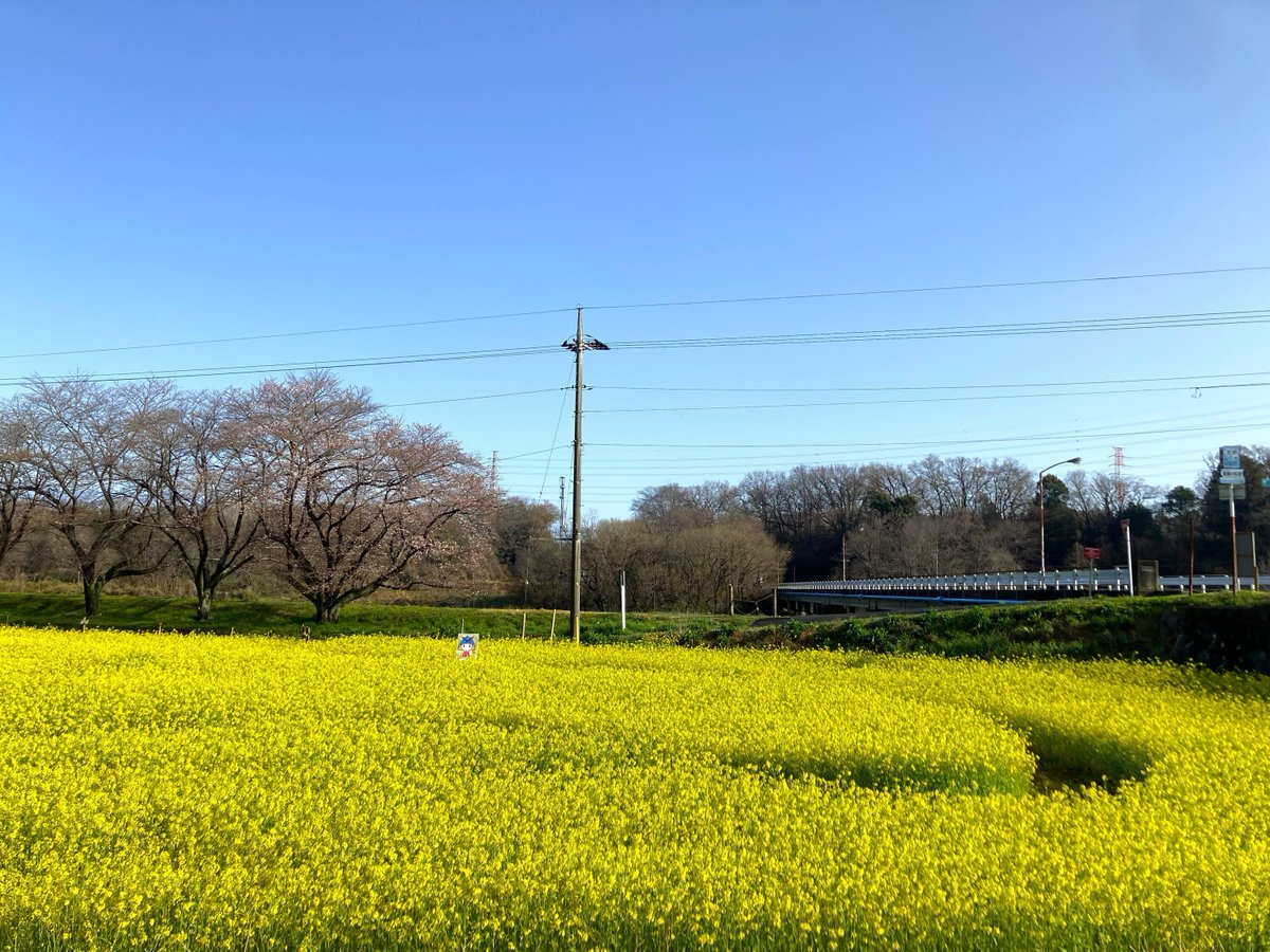 太陽ホールディングス株式会社 tweet media