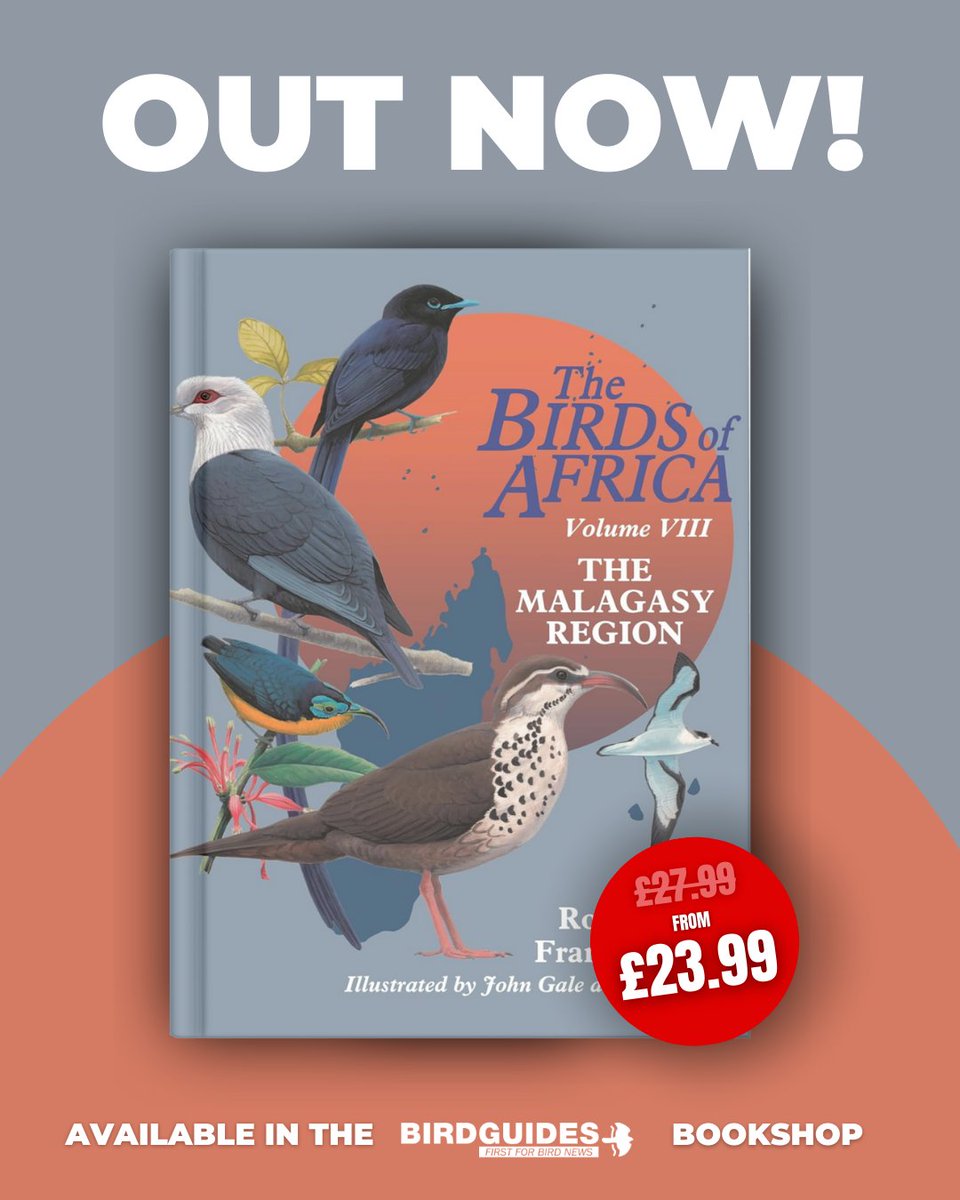 BirdGuides's tweet image. Universally recognised as by far the most authoritative work ever published on the subject of the birds of Africa.

Get yours in the BirdGuides Bookshop: bit.ly/4uqPi8m

#birdguides #bookshop #birds #birdwatch
