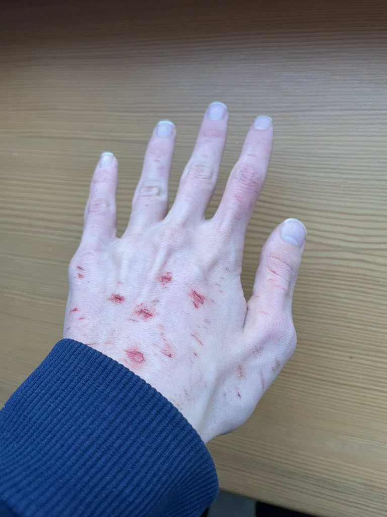 L'Quavius tweet media