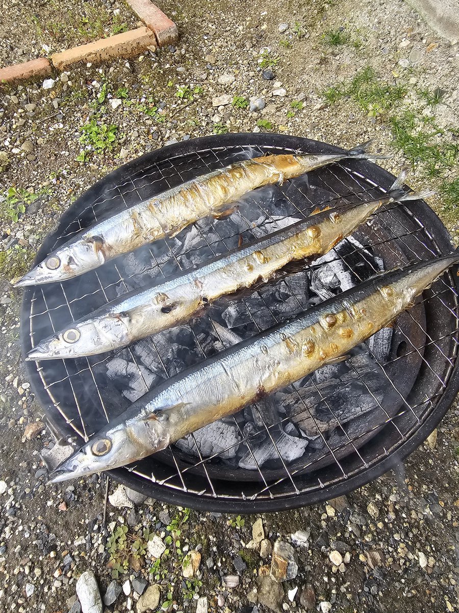 ｼｸﾌﾛ tweet media