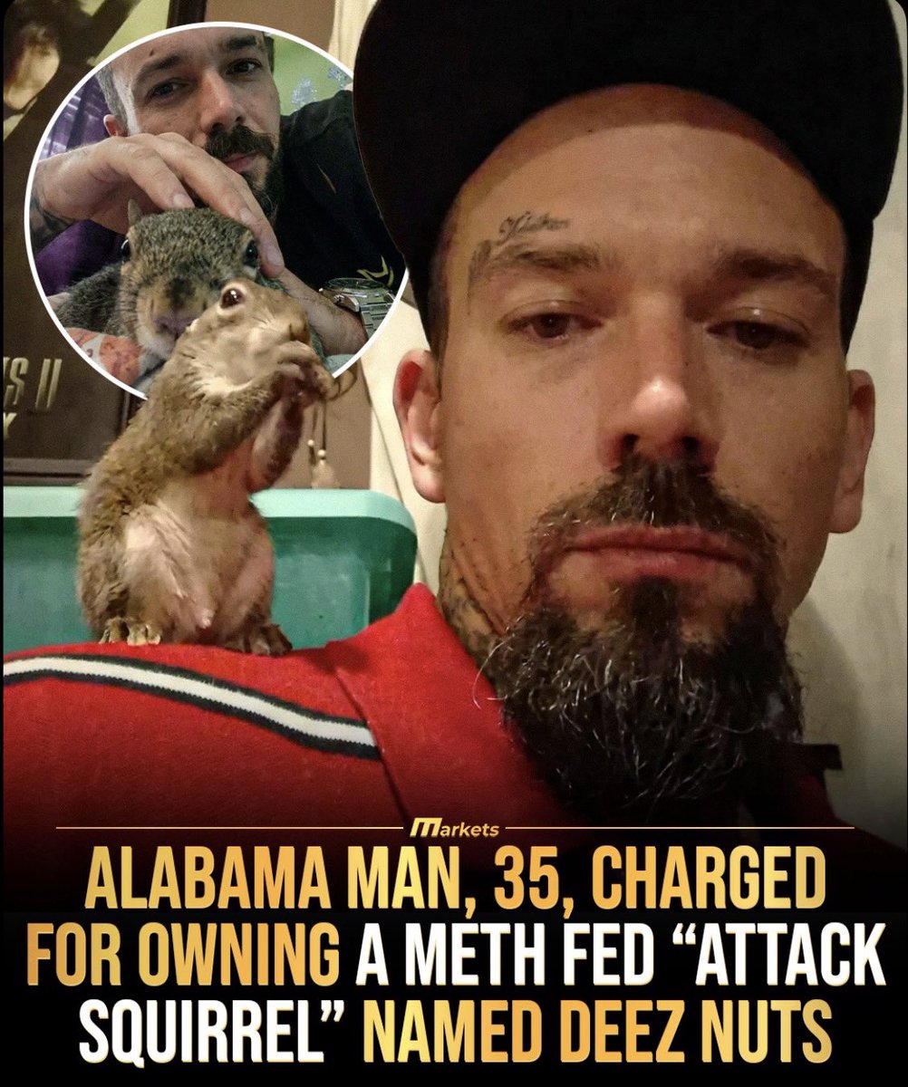 The Redheaded libertarian tweet media