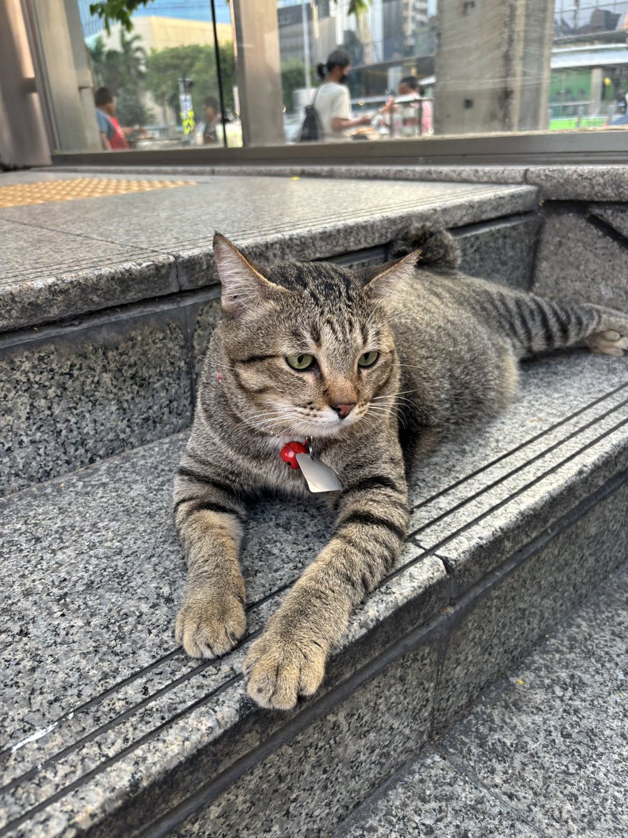 James Teerayuth tweet media