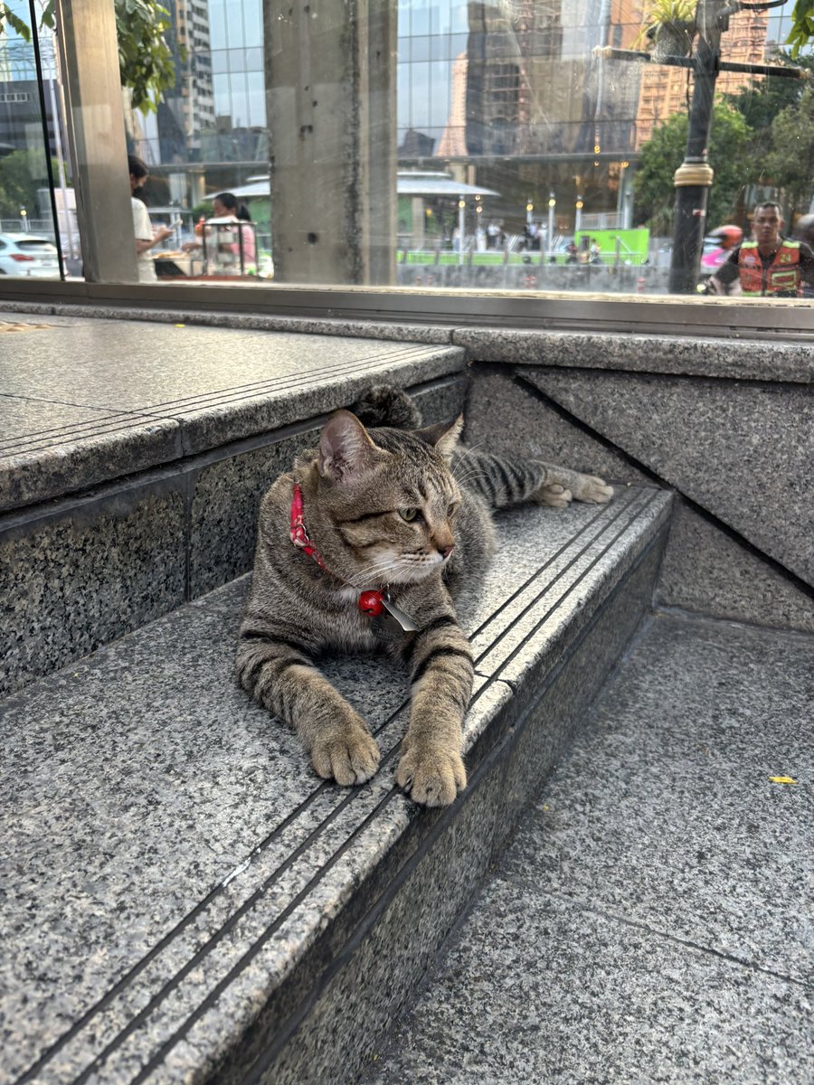 James Teerayuth tweet media