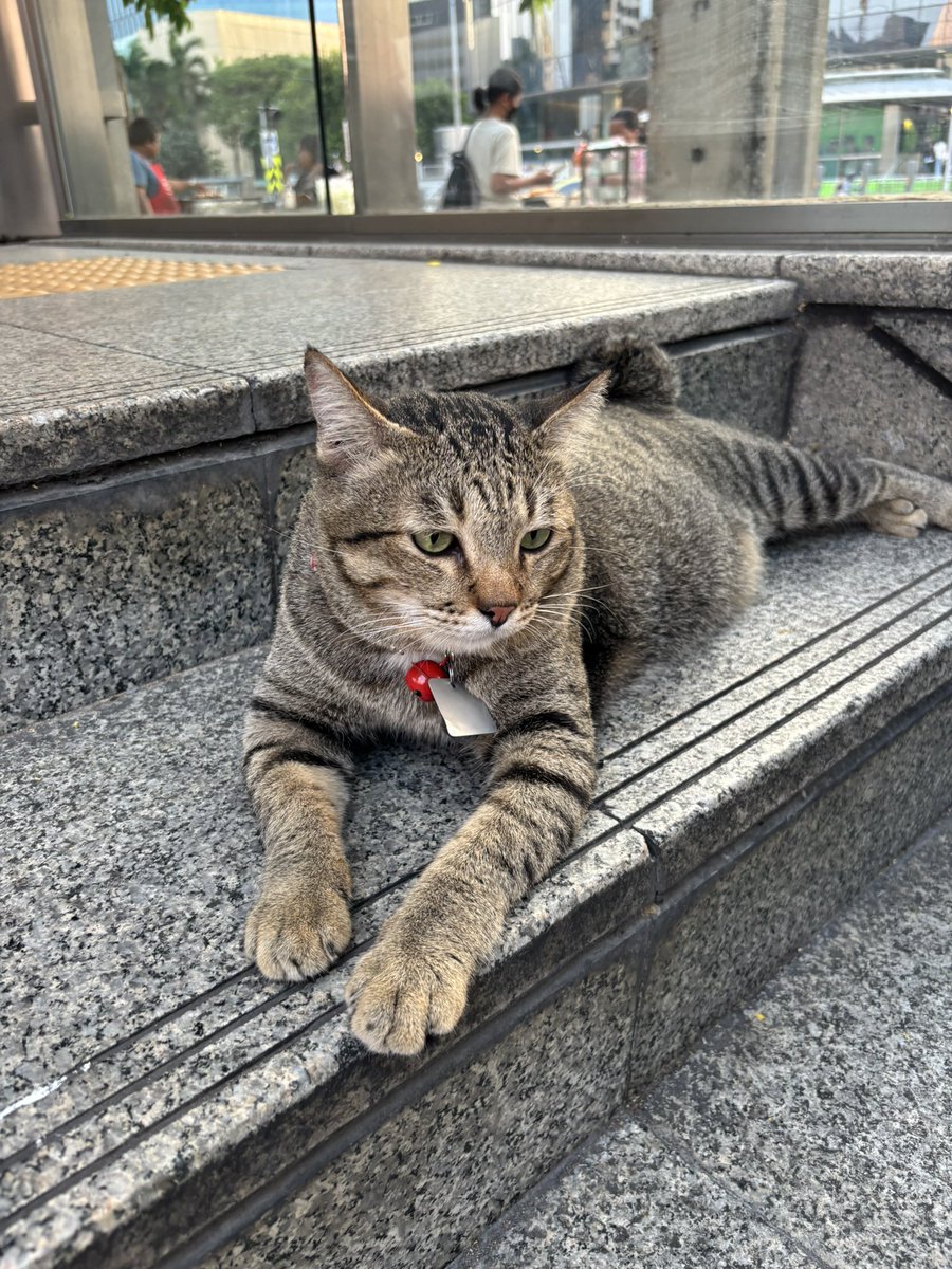 James Teerayuth tweet media