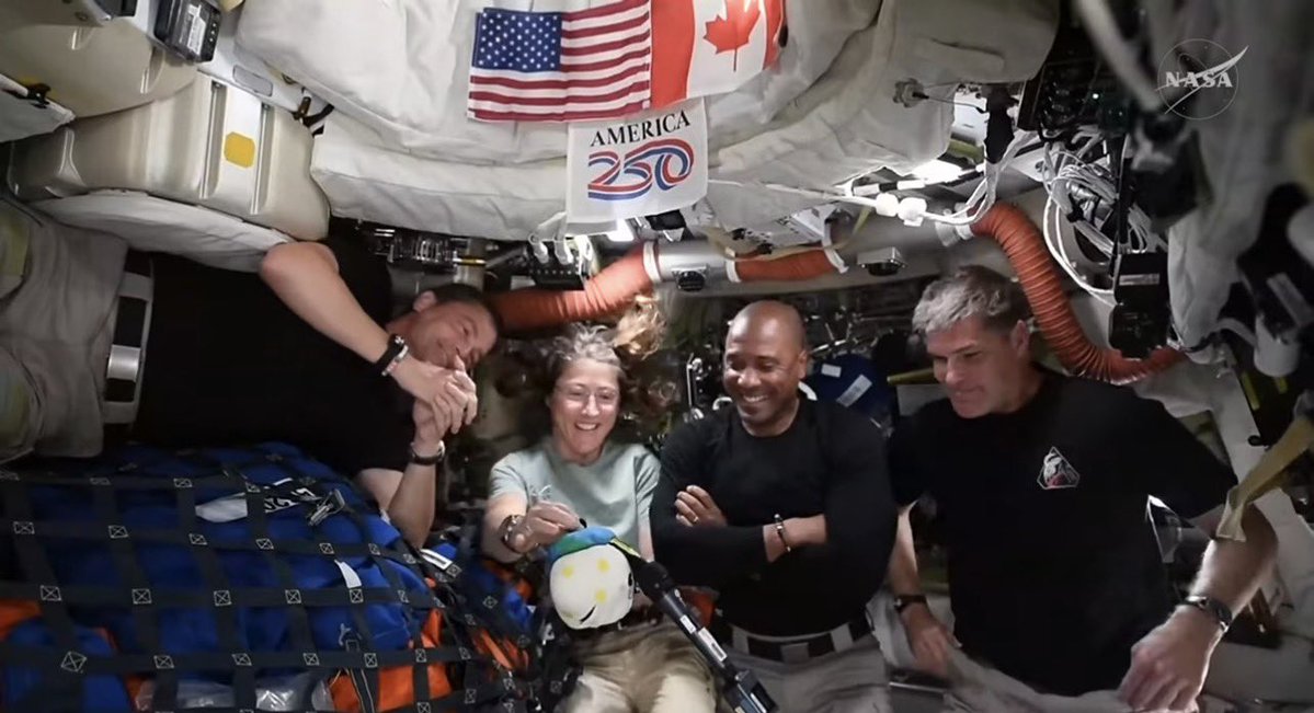 KiraKiraKat ✨ Voice Actor ✨ Kaigai Idol ✨ Vtuber tweet media