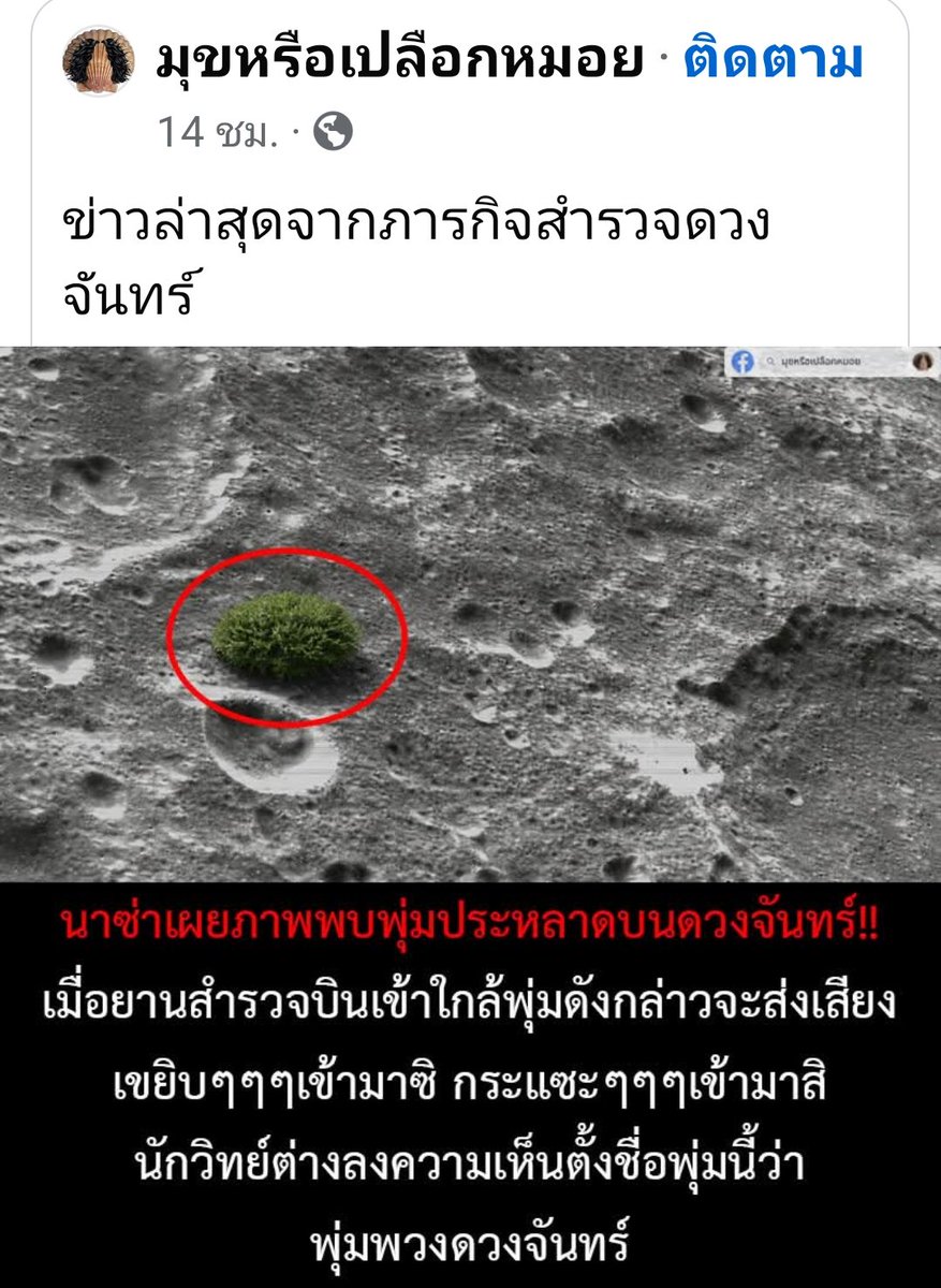 เฉียนเฉี่ยน tweet media