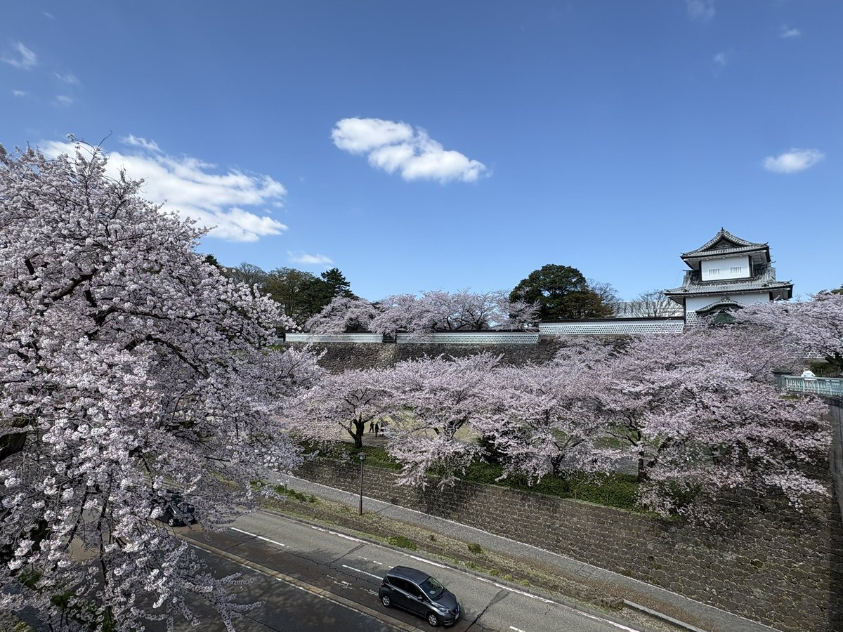ukaukatter's tweet photo. 先日金沢行ってきた。

暴力的な桜の量、更に兼六園は無料公開！
さすが加賀百万石の気前良さ！

金沢城があんなに大きいとは知らなかった。巨木の桜がすーーっと雲みたいに続いてるの。小松空港上空で低山にちらちら山桜がある様子もかわゆし。白山を奥に控えた犀川もうつくし。よかった。 https://t.co/bFVbbGpxG4