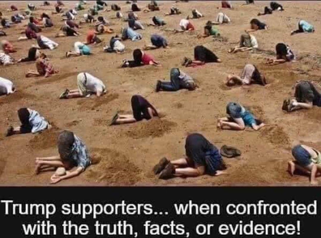 Dangerous Dan 🇺🇸 ☮️ tweet media