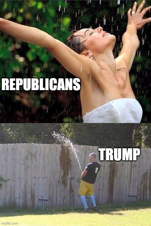 Dangerous Dan 🇺🇸 ☮️ tweet media