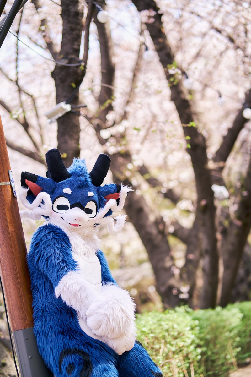 신뇽이/ShinNyong & 해일/Haeil tweet media