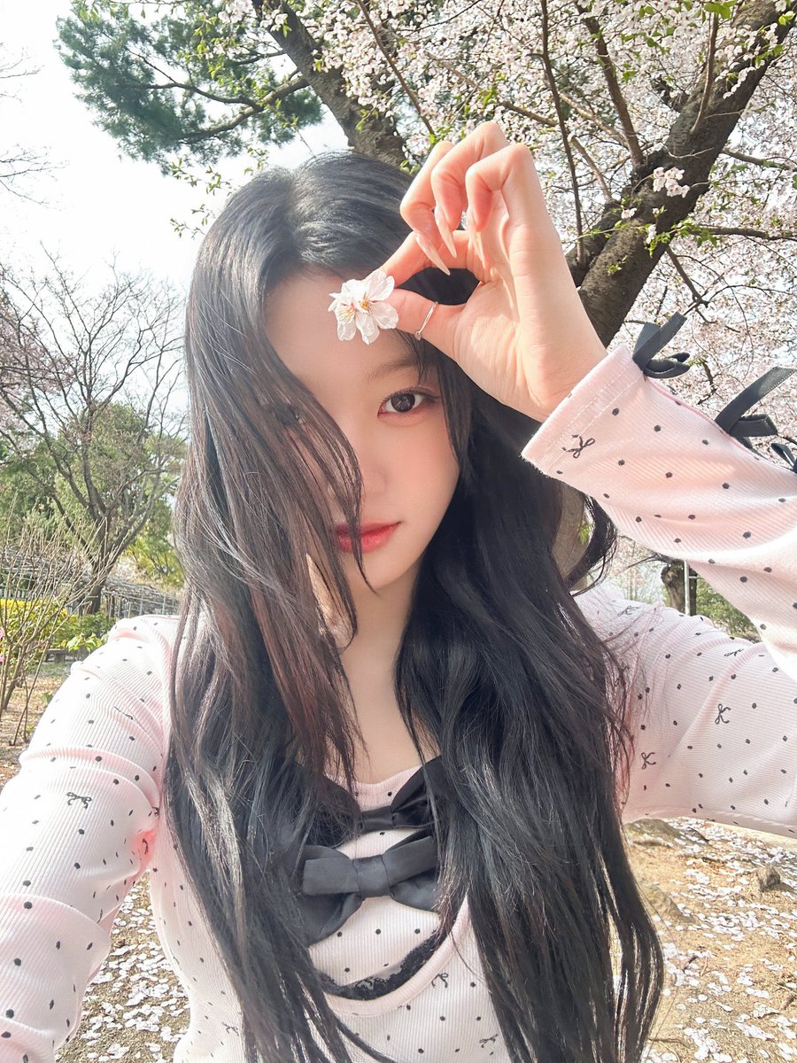 화이바 tweet media