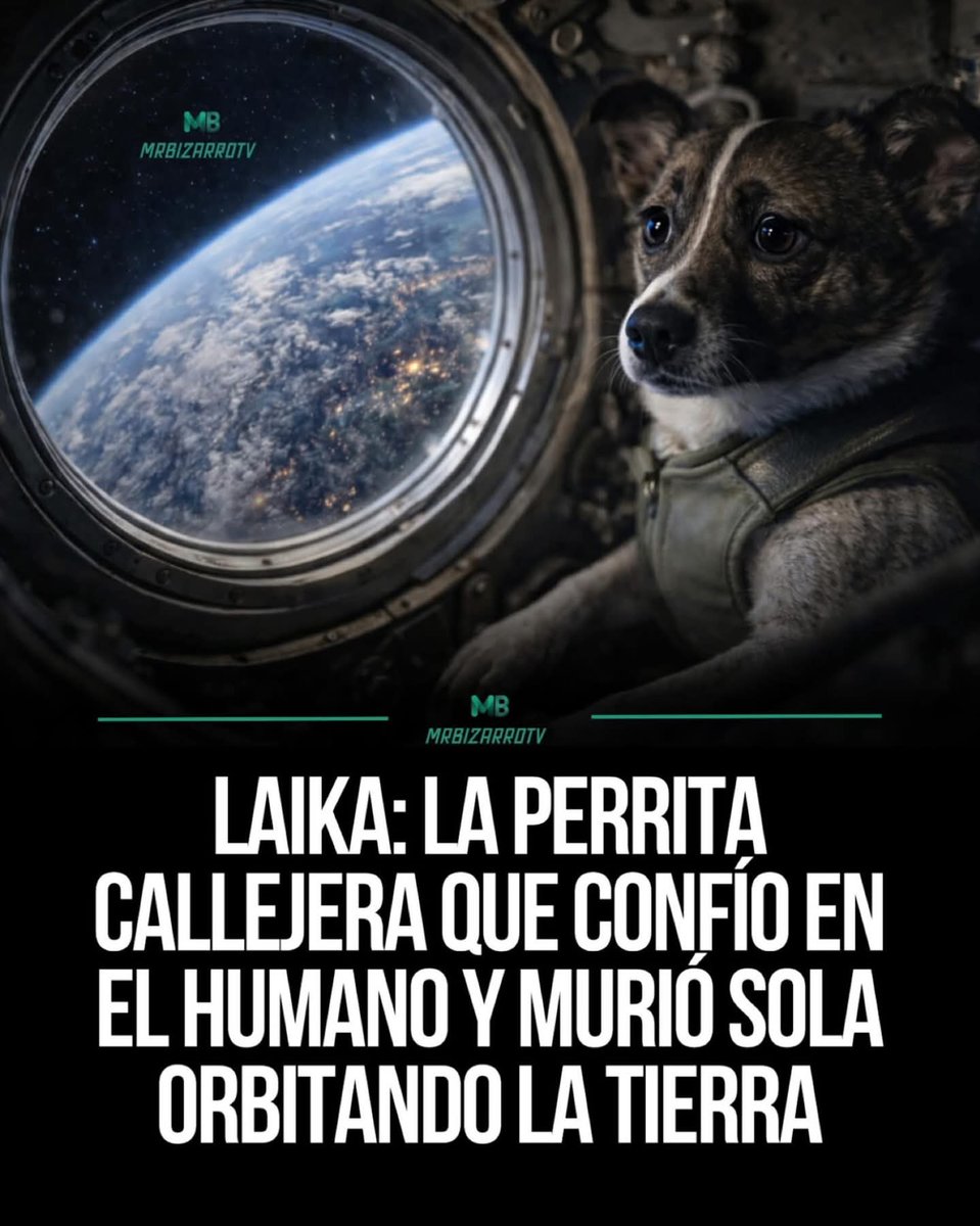 neidy_an's tweet photo. De verdad...la humanidad es una decepción. https://t.co/FO3Mw9Ln8L