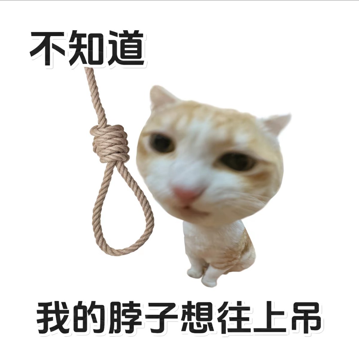 wan tweet media