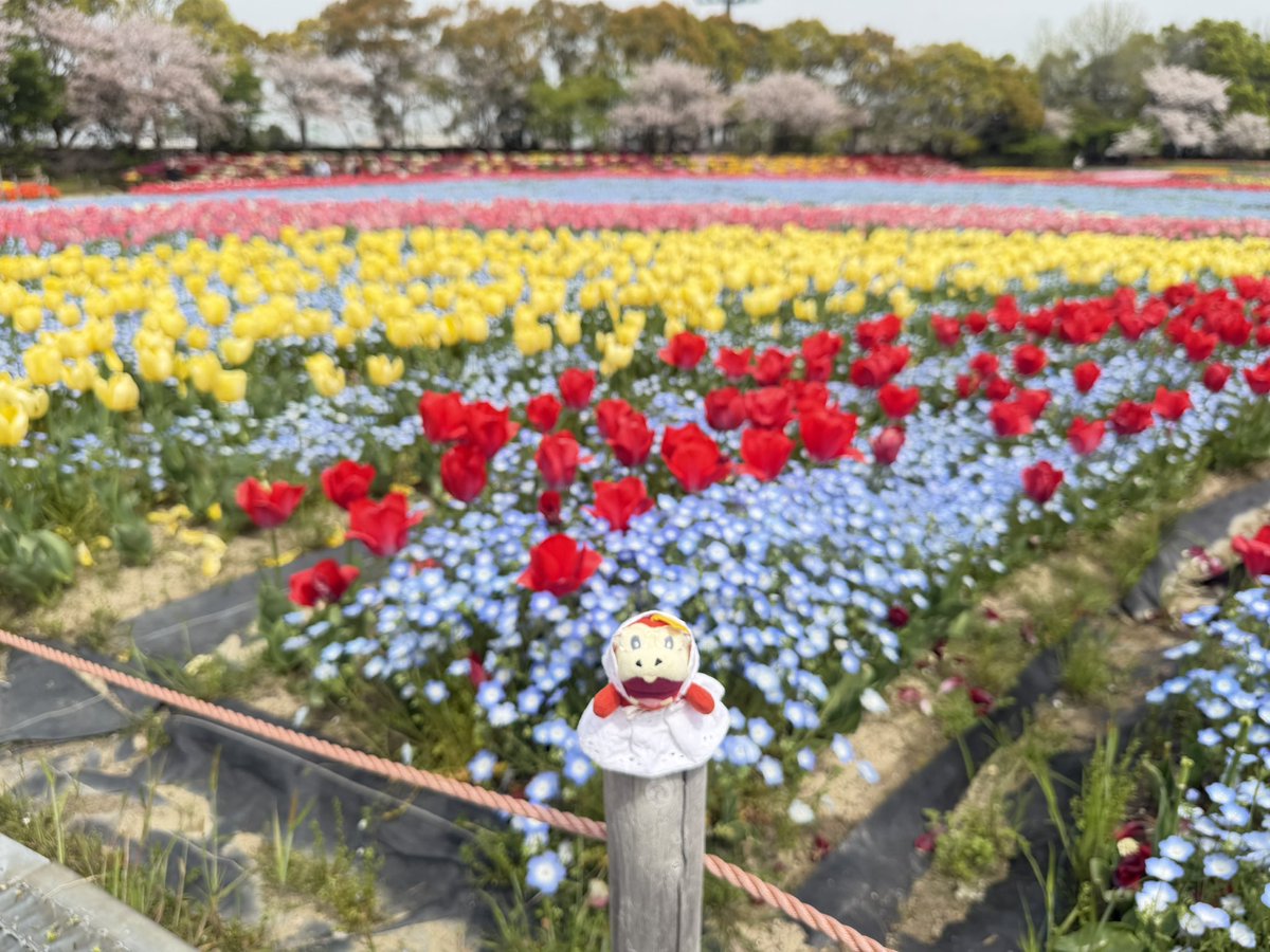 ジョウト地方のトレーナー tweet media