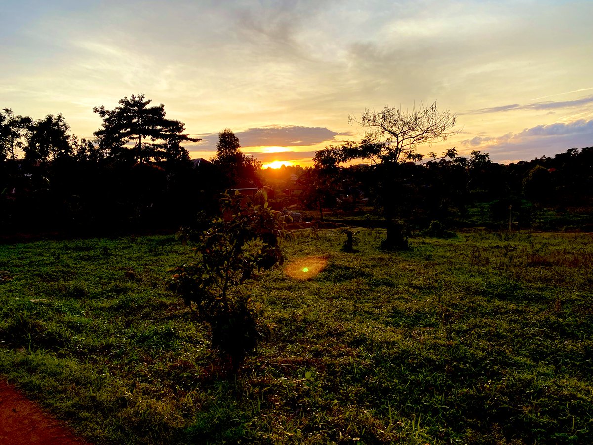 Farm Day
Good morning Abantu