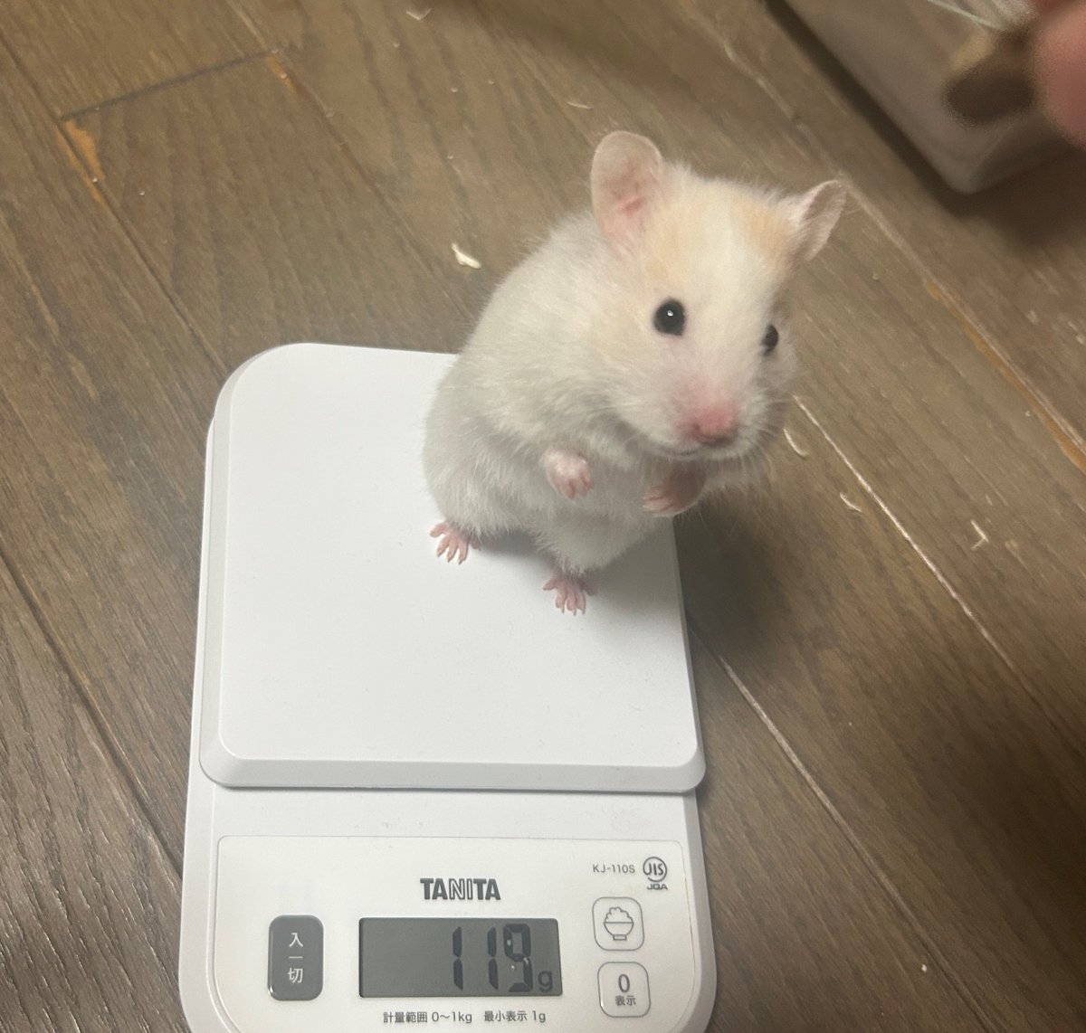 びび🪐𖥔 ࣪ tweet media