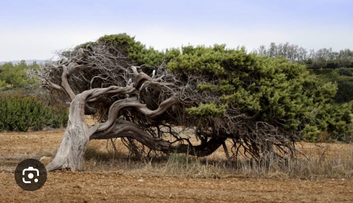 aca_rev💉💉💉 💉イ💉 tweet media