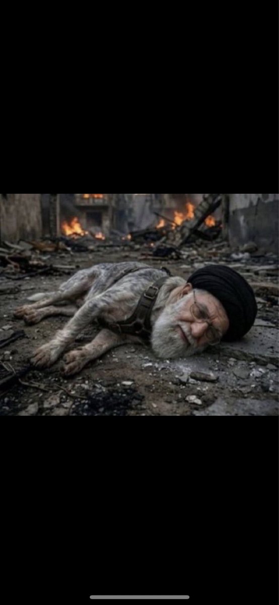 طاير في حب الخليج tweet media