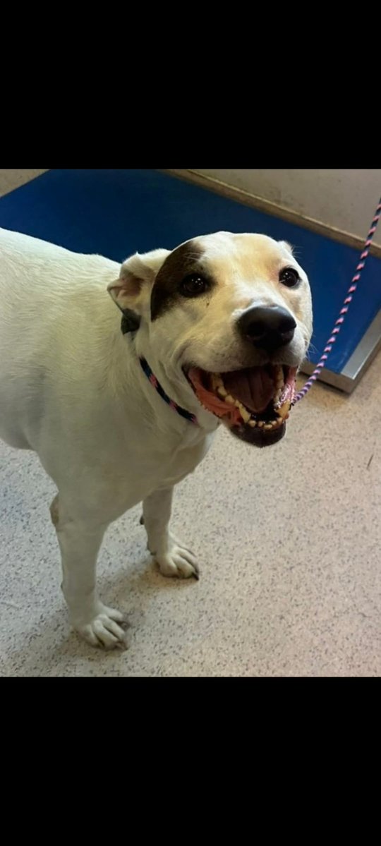 Wintersky tweet media