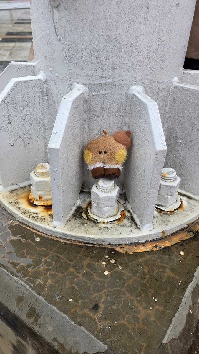 김강아지 tweet media