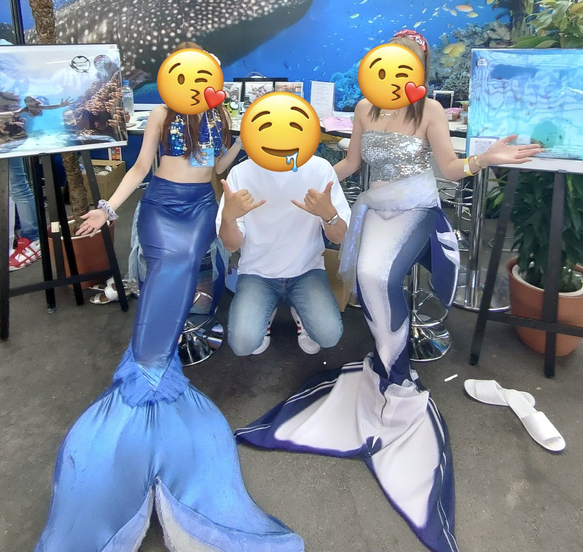 SeaHeaven2.1🇯🇵 tweet media