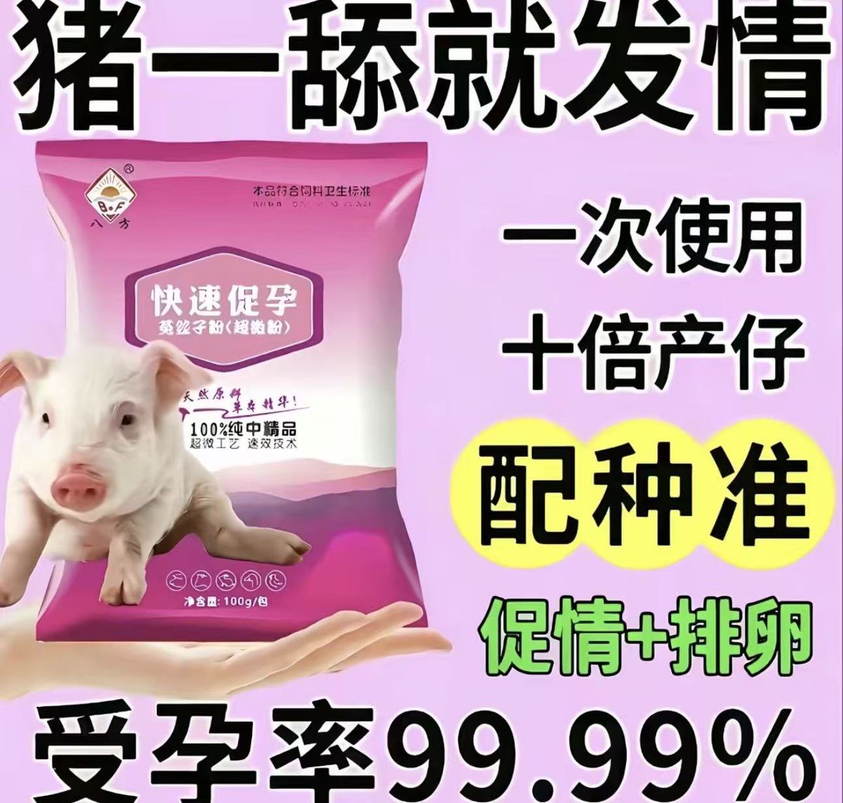 忧郁灵猪 tweet media