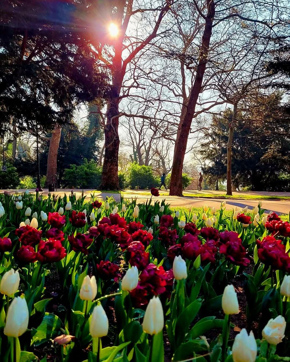 valentina tweet media